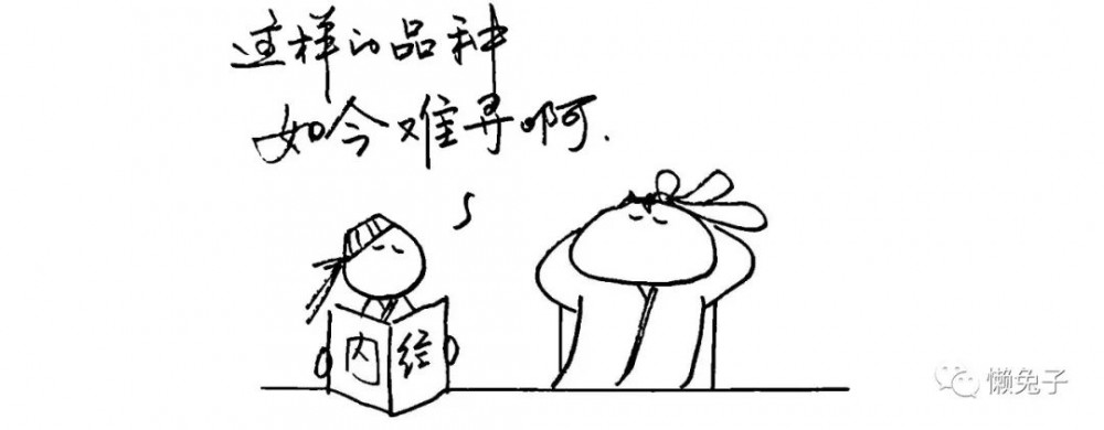 湿热人别哭,我来教你怎么吃,不做油腻中年人!