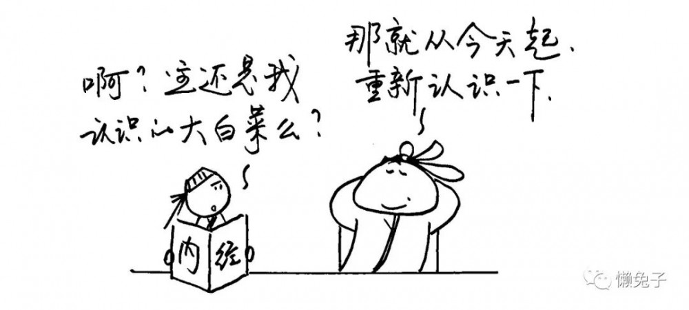 冬天的大白菜,吃起来就不要停了