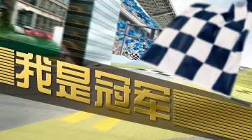 请查收思域求职简历！