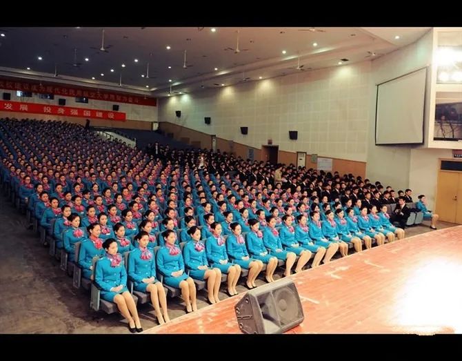 空乘职业规划---经验贴