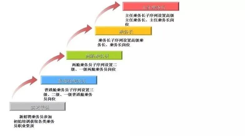 空乘职业规划---经验贴