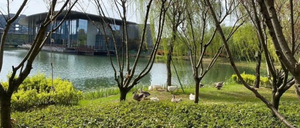 【辟谷日记】第五天：是放弃，还是坚持到底？这是个问题