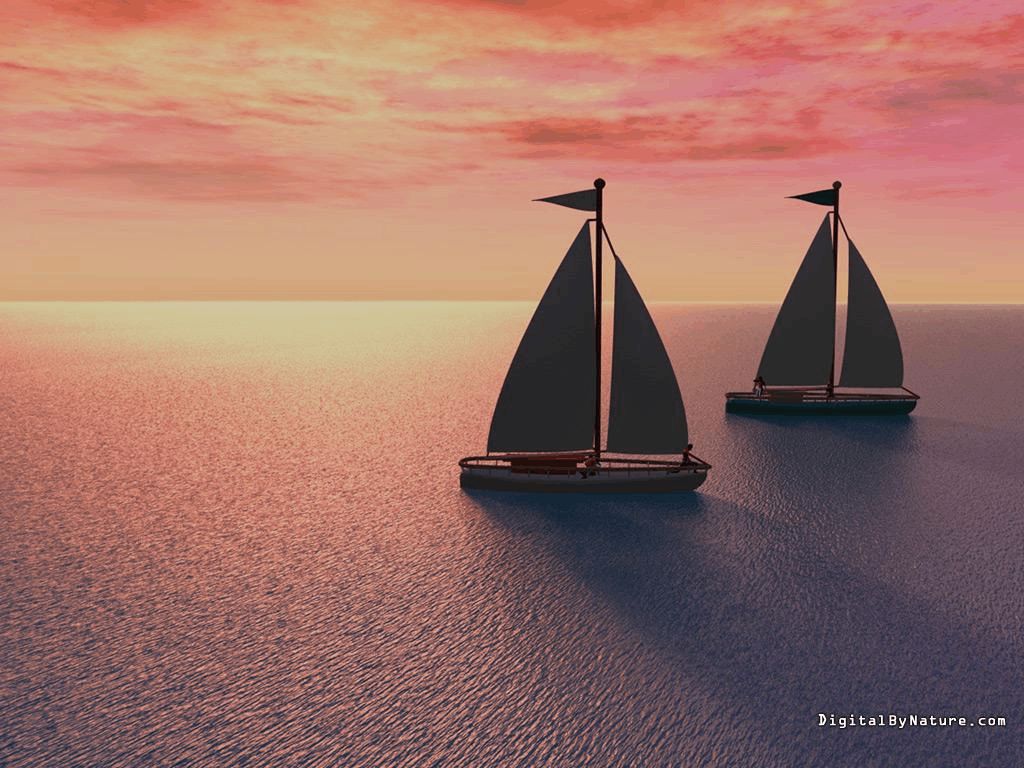 职业规划范文（精选40篇）