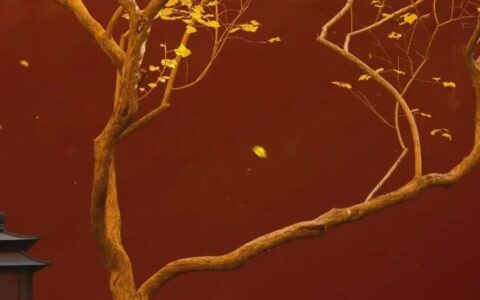 懂懂学医学——胰腺 2、糖尿病