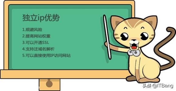 网站SEO:使用独立的IP比共享IP会更好吗​