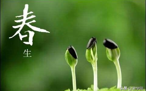 形容春天的成语（100个描写春天的句子分享）