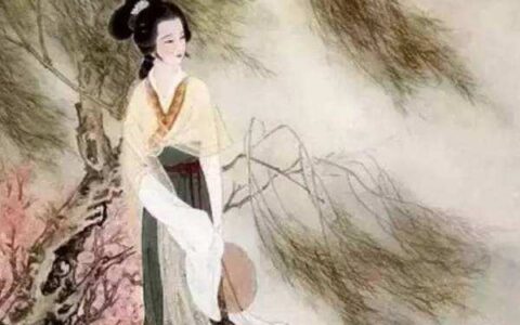 诗的特点有哪些（诗歌的概念和特点）