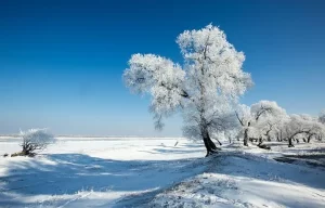 写雪的诗有哪些（形容冬天的雪景非常美的诗句）