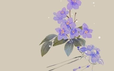 精美惊艳散文美文欣赏（雅致图文版）