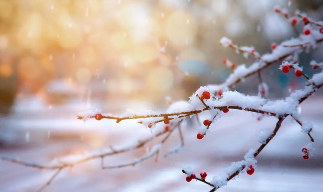 写雪最美的10首诗词，如冰如玉，纯美轻盈，美到灵魂里