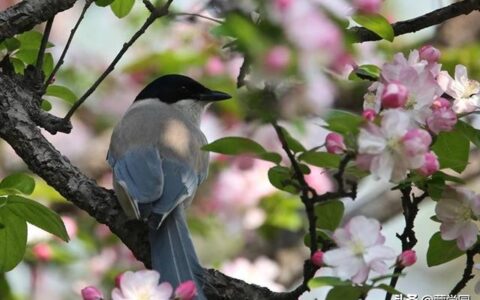 形容山水意境风景优美的成语大全（精选100个）