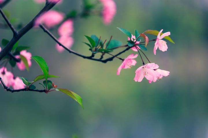 春日郊游的好听朋友圈唯美句子文案大全（精选26句）