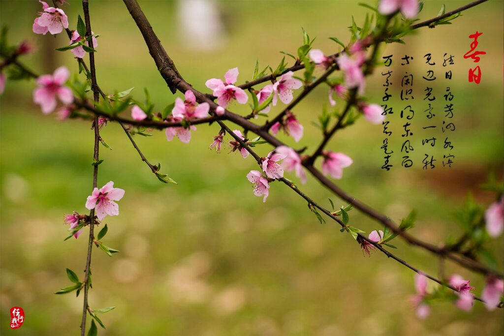 春日郊游的好听朋友圈唯美句子文案大全（精选26句）