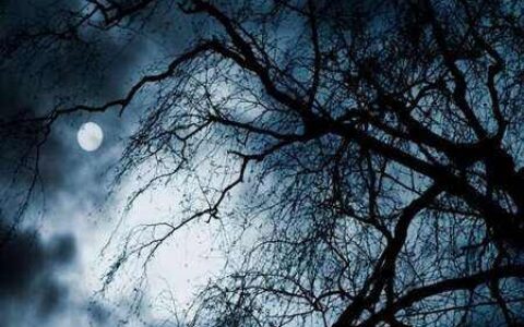 又短又吓人的鬼故事50字（把女朋友吓到哭的鬼故事）