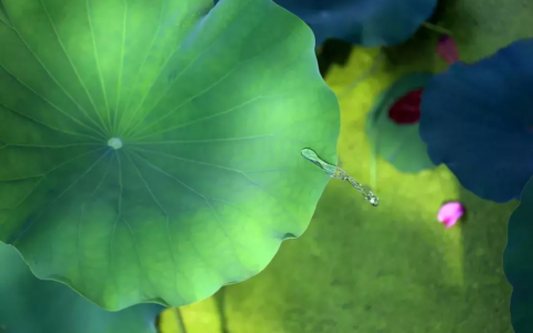 短古诗四句（好记好背的古诗词）