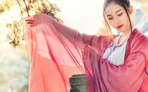 形容女子有才华有涵养的诗句（夸女子德才兼备的诗句）