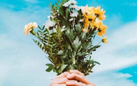 鼓励的话语简短（激励语言正能量的短句子）