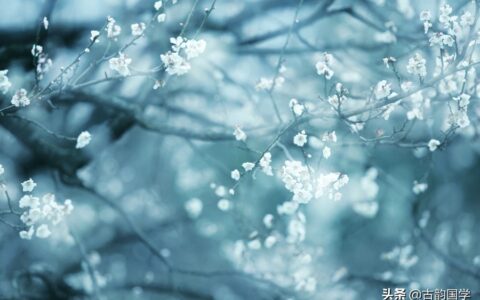 咏物古诗有哪些（描写咏物古诗词句欣赏）