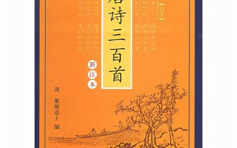 关于唐诗三百首全集（唐诗三百首最经典摘抄）