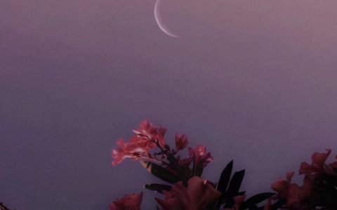 最经典非主流句子大全（非主流语录伤感短句）