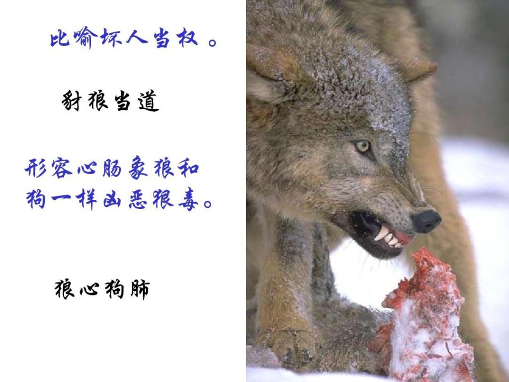 狼心狗肺的意思是什么（狼心狗肺成语的含义）