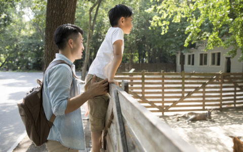 关于父亲节诗句有哪些（赞美父亲的诗句名言）