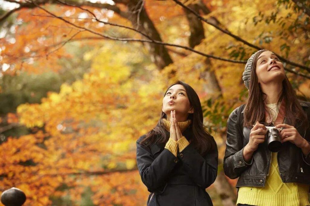 美文摘抄唯美散文美句（人生就像一次旅行）