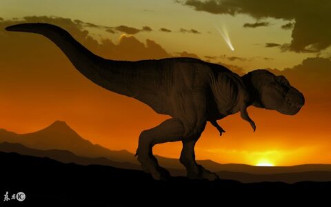 恐龙睡前故事（关于恐龙的简短小故事）
