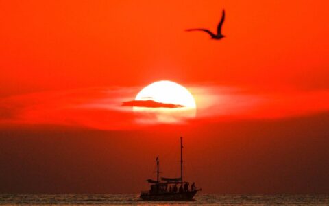 日落配一句话发朋友圈推荐(精选35句)