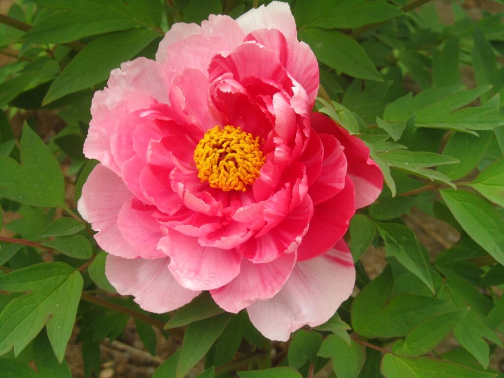 公司乔迁贺词大全（恭喜公司搬迁的话怎么说）