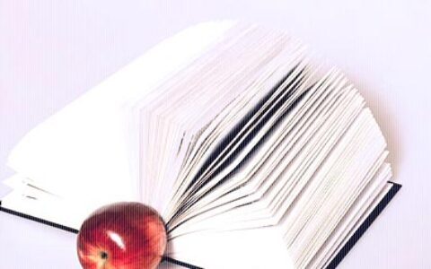 2020年，应届不再为找不到好工作而发愁