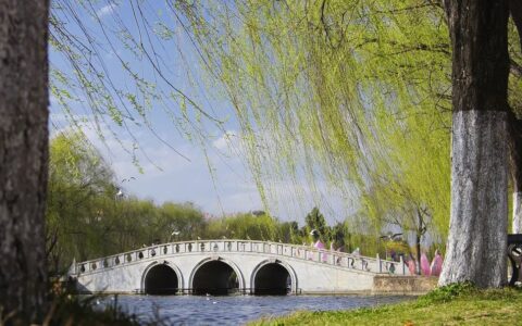 带春字的诗句飞花令（飞花令带有春字的诗句）