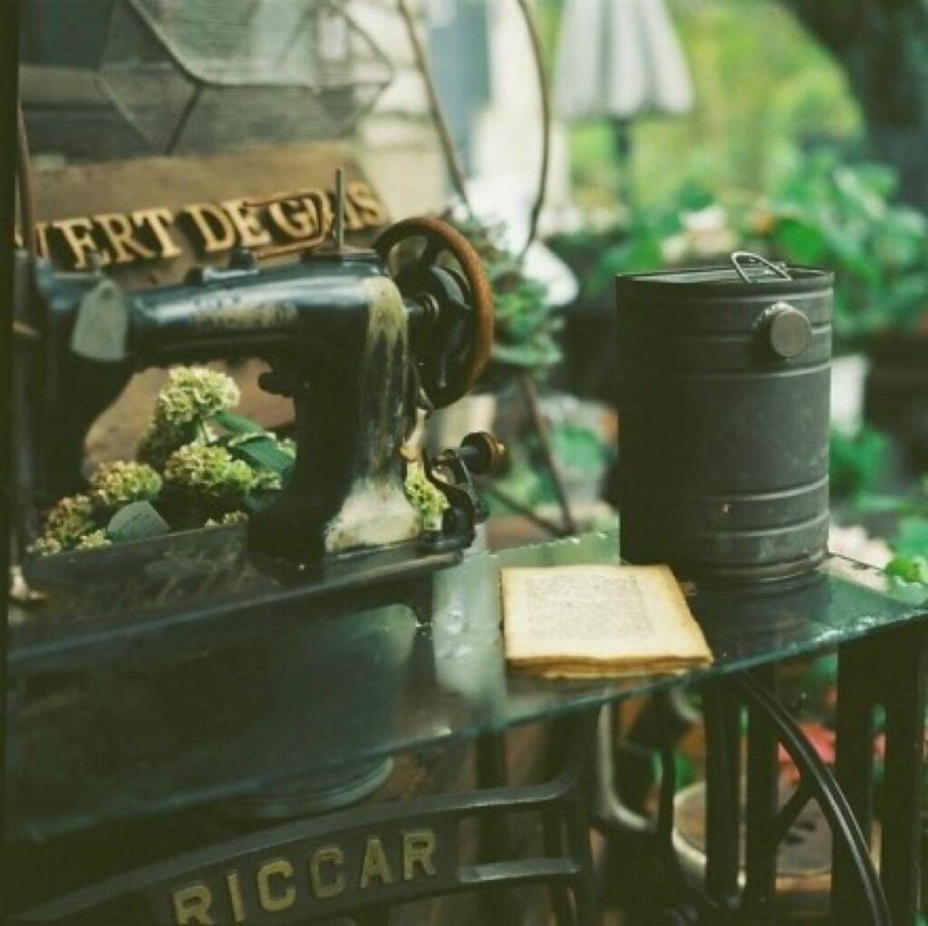 关于怀旧的句子有哪些（关于念旧的唯美句子分享）