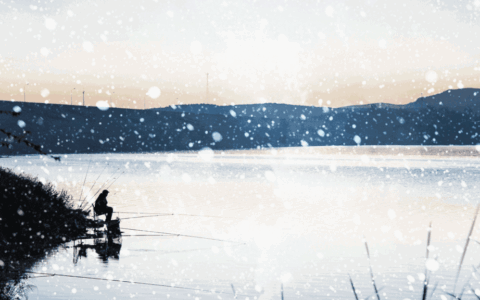 描写雪景的诗句有哪些（描写故乡雪景的诗句鉴赏）