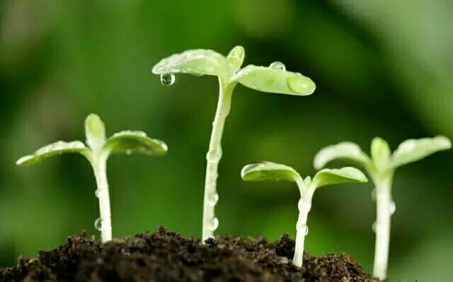 春天优美散文大全（精选20篇）