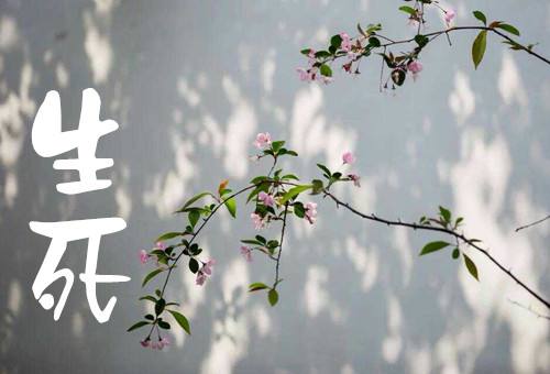 感悟生死的经典句子（人生死的感悟经典句子）