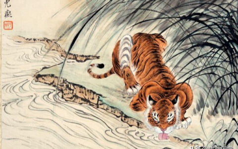 形容老虎的词语有哪些（形容虎的励志句子）