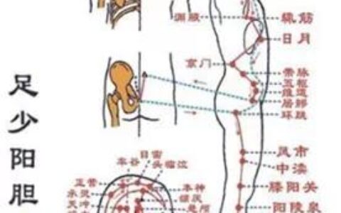 肝胆相照是什么意思（肝胆相照的中医解释）