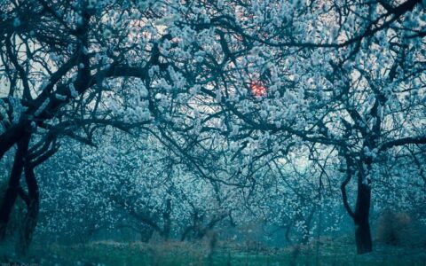 积累好词好句摘抄（好词好句好段摘抄大全）