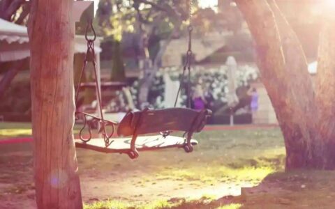 林徽因美文摘抄温柔了时光（精选10篇） 