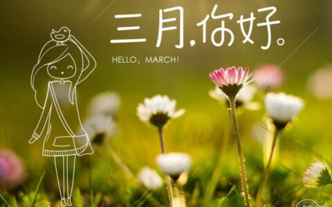 三月你好简约文案语录（三月你好走心文案说说）