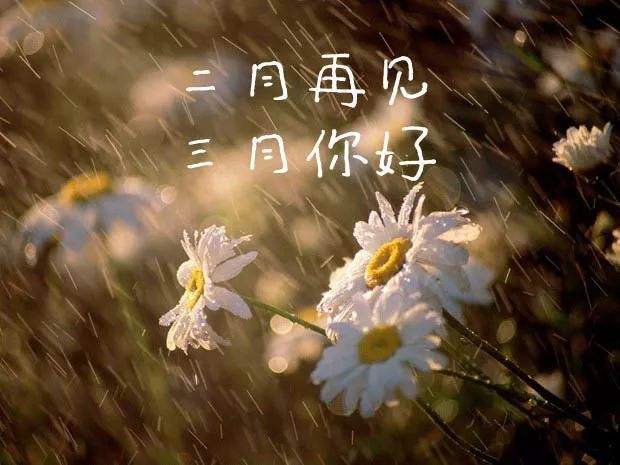 三月你好简约文案语录（三月你好走心文案说说）