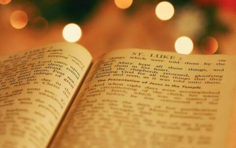 教育箴言的名言警句大全精选100句（教育名言名句经典摘抄）