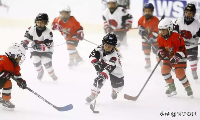 冬奥会分项目有几个-4 冬奥会分项目有几个-4