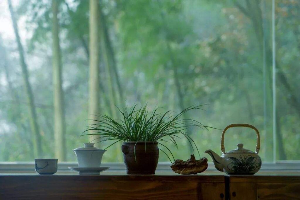林清玄散文读后感(林清玄散文集精选)