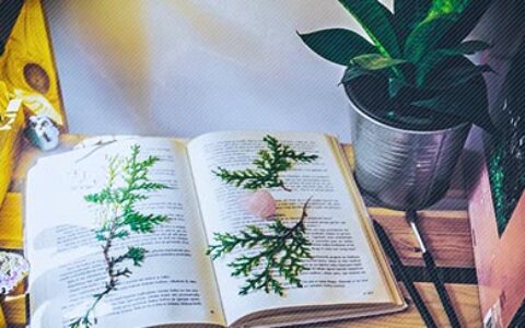 HR会嫌弃频繁跳槽者吗？