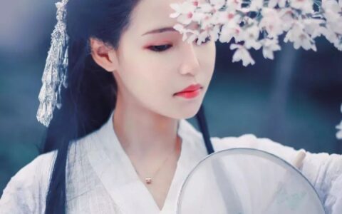 经典宋词欣赏（宋词三百首精选赏析）