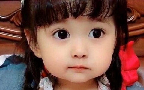 爸爸爱女儿的经典句子（形容爸爸疼爱女儿的一句话）