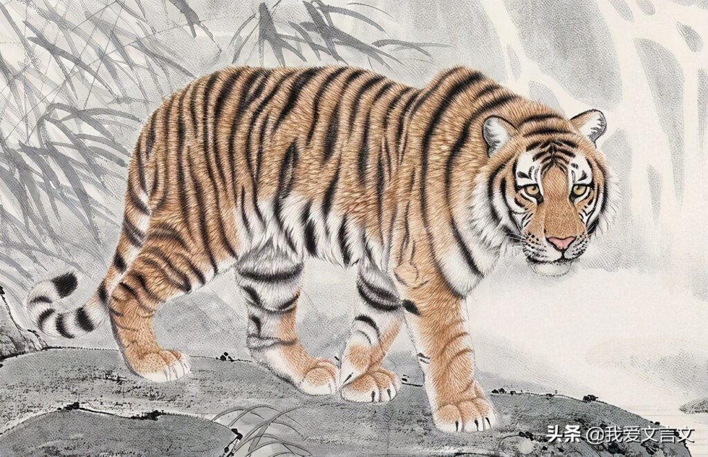 象虎文言文翻译及注释（象虎文言文阅读答案）