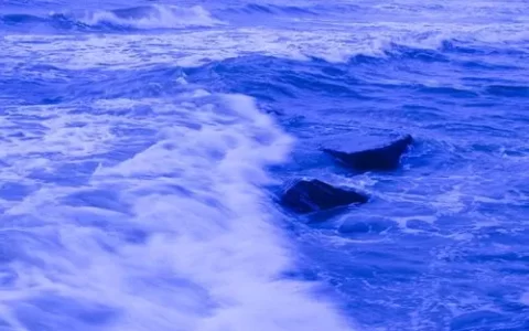 描写大海的优美句子有哪些（大海景色的优美段落）